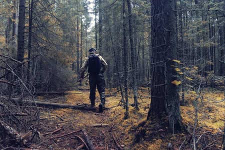 Купить диплом Егеря, лесника в Ульяновске