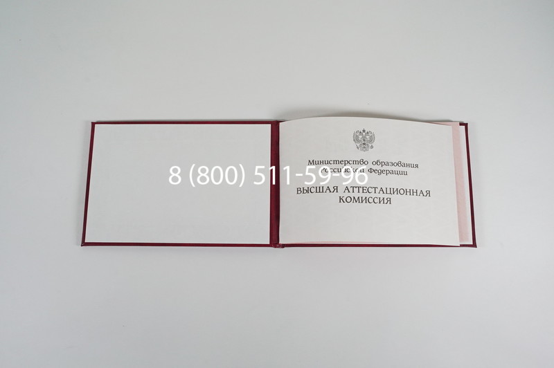 Диплом доктора наук 1995-2006 года в Ульяновске Диплом доктора наук 1995-2006 года в Ульяновске