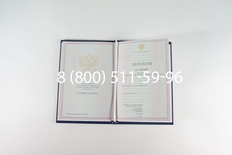 Диплом колледжа 2003-2006 годов в Ульяновске Диплом колледжа 2003-2006 годов в Ульяновске